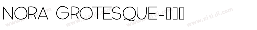 Nora Grotesque字体转换